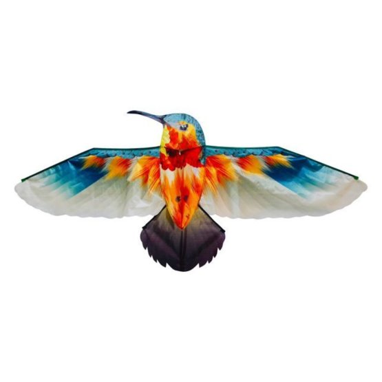 Leteči zmaj - kolibri