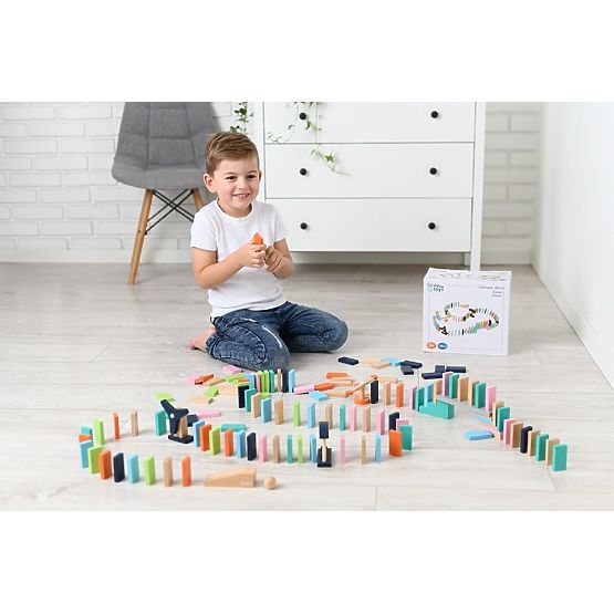 Barvni Domino Adam Toys