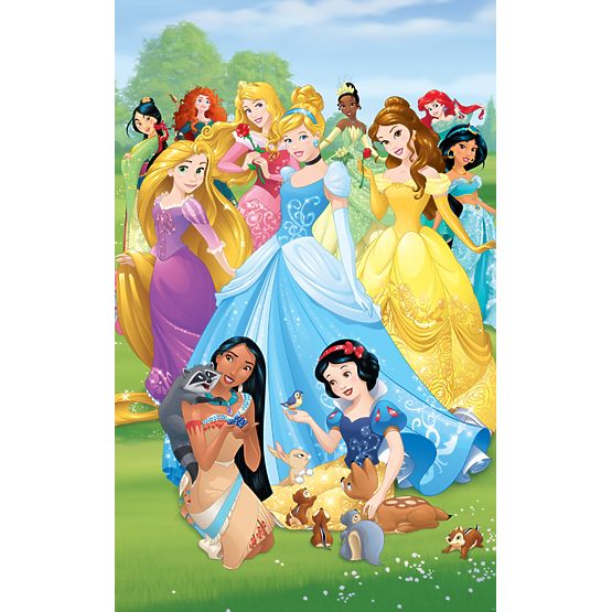 Dětská 6 dílná tapeta Princezny na louce