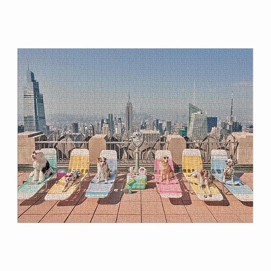 Galison Puzzle Psi v New Yorku Gray Malin 1000 kosov