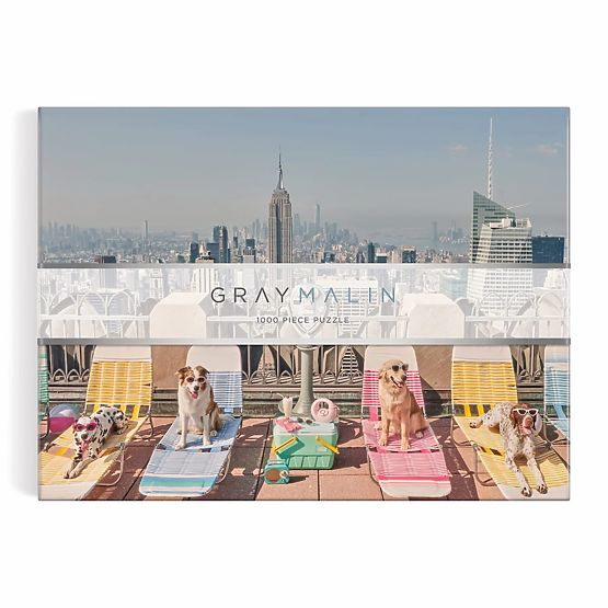 Galison Puzzle Psi v New Yorku Gray Malin 1000 kosov