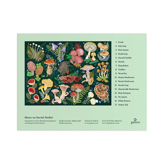Galison Puzzle Svet gob 1000 kosov