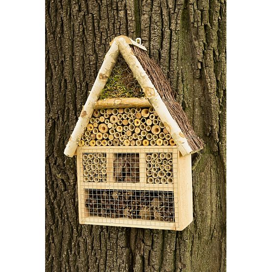 Hiša žuželk - hotel XXL