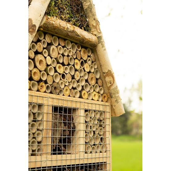 Hiša žuželk - hotel XXL