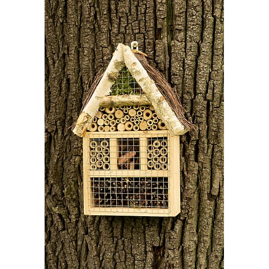 Hiša za muhe žuželk