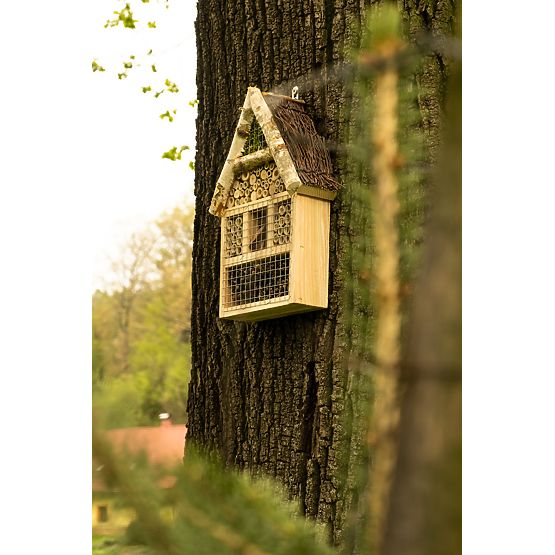 Hiša za muhe žuželk