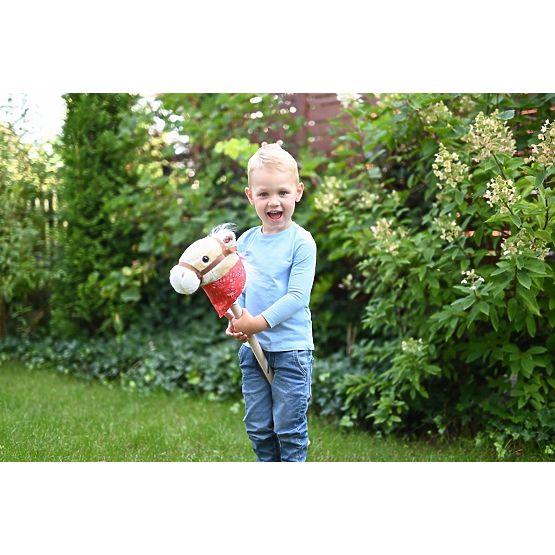 Konjiček na palici Achał Hobby Horse