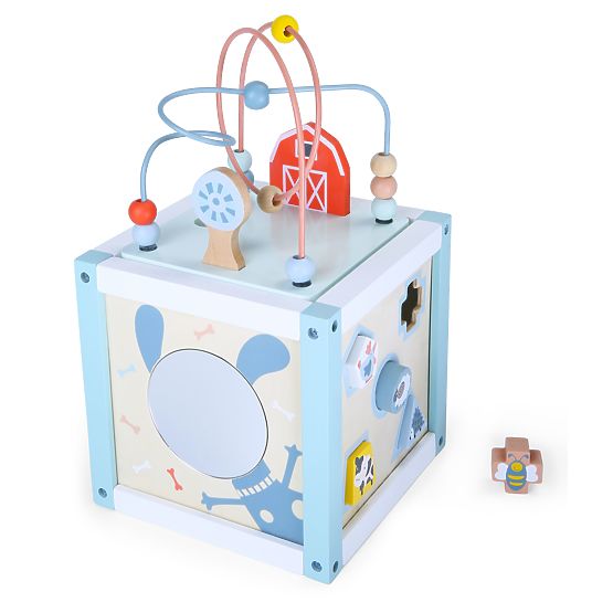 Lesena izobraževalna kocka sorter + kocke ECOTOYS