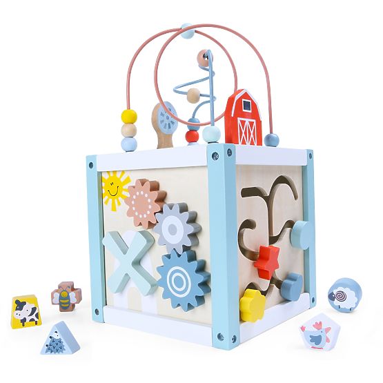 Lesena izobraževalna kocka sorter + kocke ECOTOYS