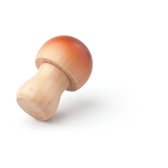 Lesena zelenjava v zaboju