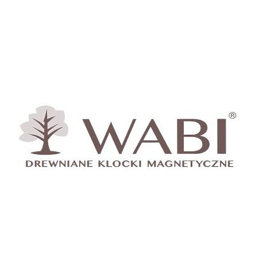 Leseno-magnetne kocke WABI, 40 elementov