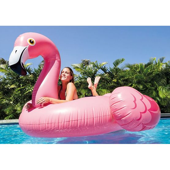 Napihljiv flamingo v vodi