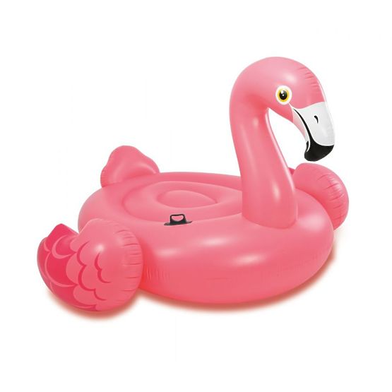 Napihljiv flamingo v vodi
