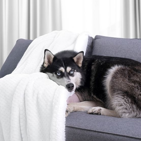 Odeja SHLEEPY bela barva z žakardnim vzorom klasičen stil 130x180