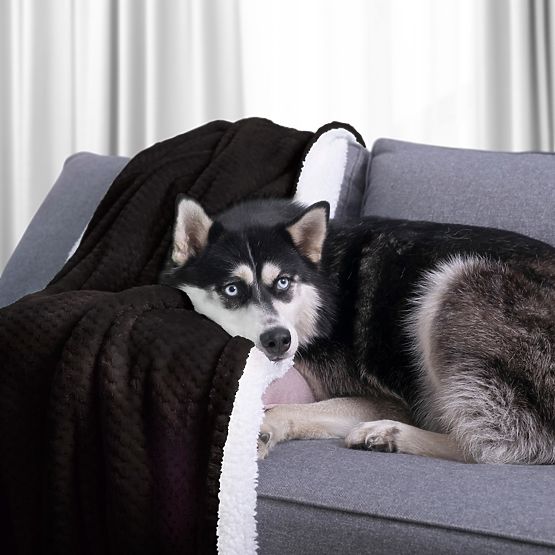 Odeja SHLEEPY črna z žakardnim vzorom klasični slog 130x180