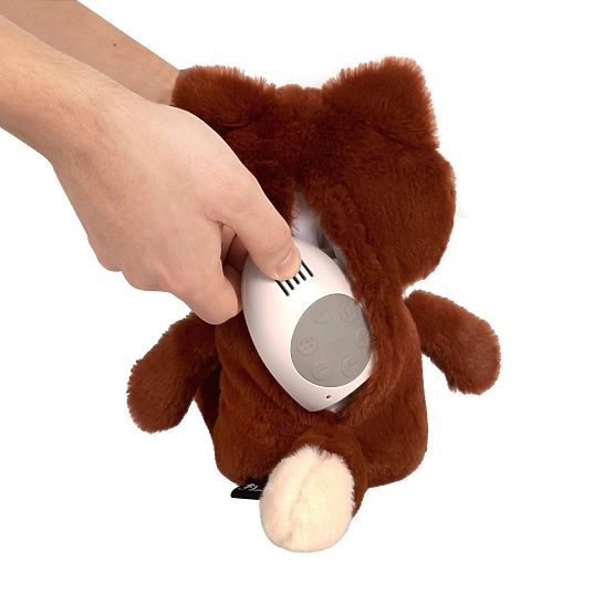 Oranžna lisica s srčnim utripom FLOW