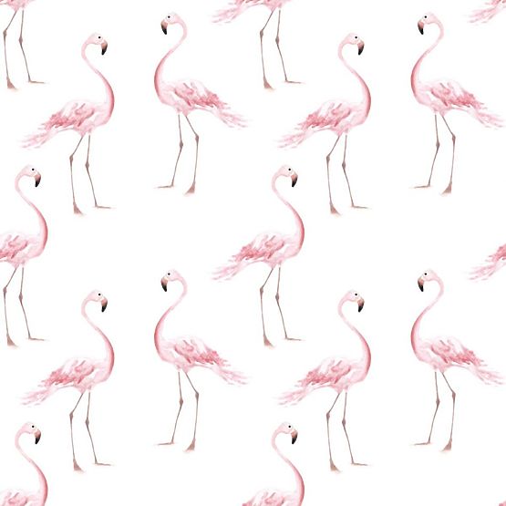 Ozadje DEKORNIK Flamingos