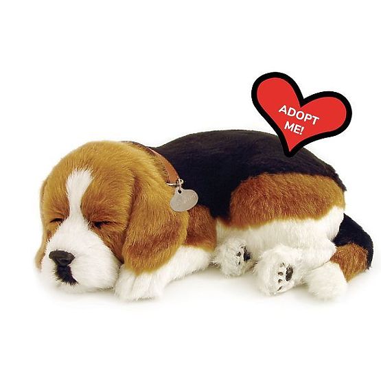 Perfect Petzzz Dihajoči Mladiček Beagle