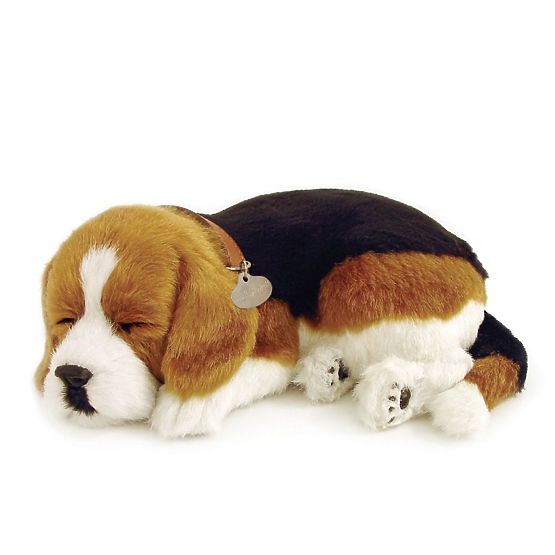 Perfect Petzzz Dihajoči Mladiček Beagle