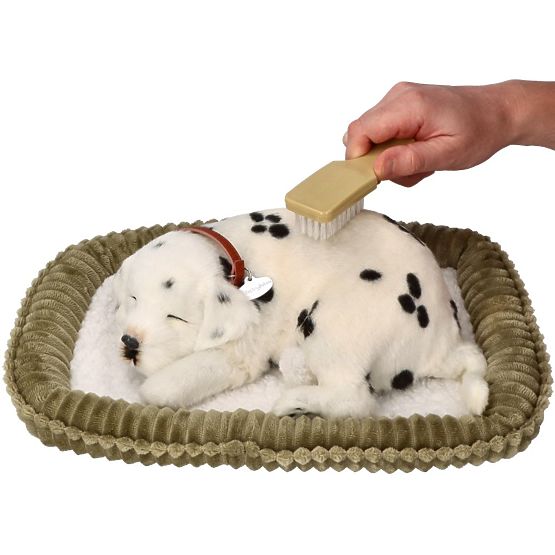 Perfect Petzzz Posvojite dihalnega dalmatinca