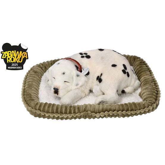 Perfect Petzzz Posvojite dihalnega dalmatinca