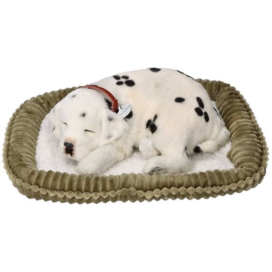 Perfect Petzzz Posvojite dihalnega dalmatinca