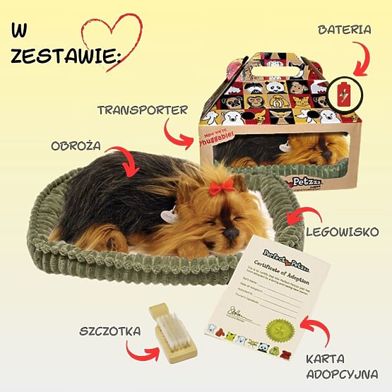 Perfect Petzzz Smrčeči mladiček York