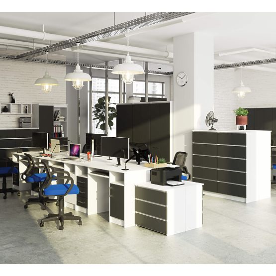 PISALNA MIZA ANA PK BELA / SIVA