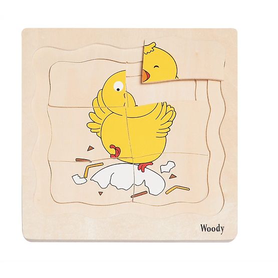 Plastne puzzle življenje kokoške