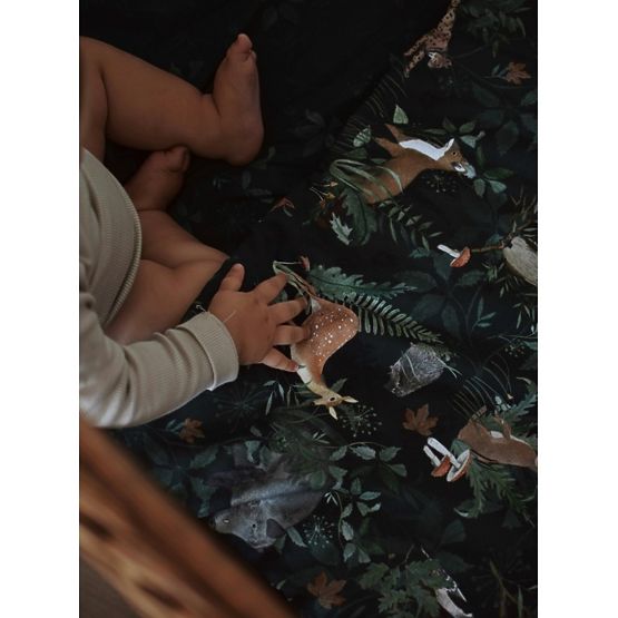 Ukazni list z izpolnitvijo Življenje v gozdu