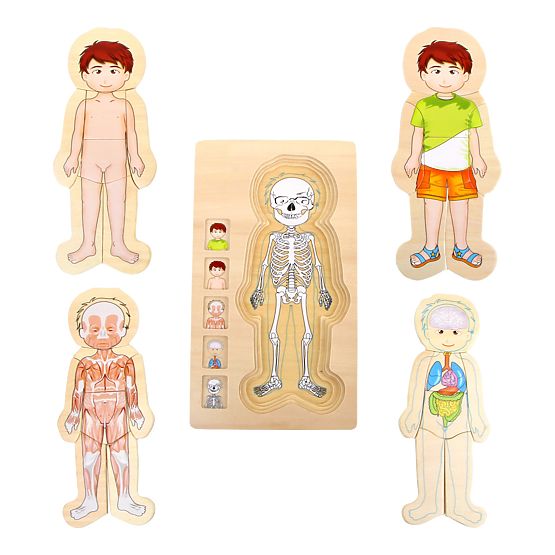 Small Foot Wooden Toys Puzzle Anatomy Tim