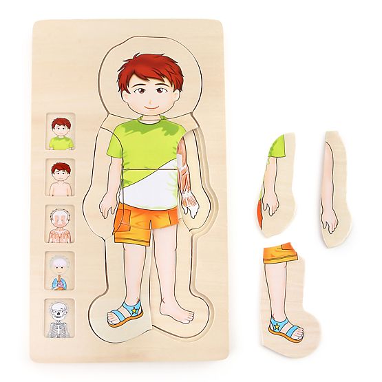 Small Foot Wooden Toys Puzzle Anatomy Tim