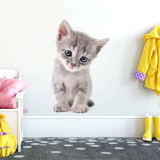 Stenska nalepka - Kitten