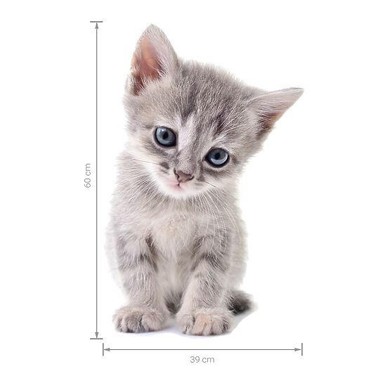 Stenska nalepka - Kitten
