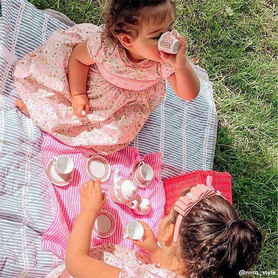 Tidlo Posoda za piknik v rožnati košari