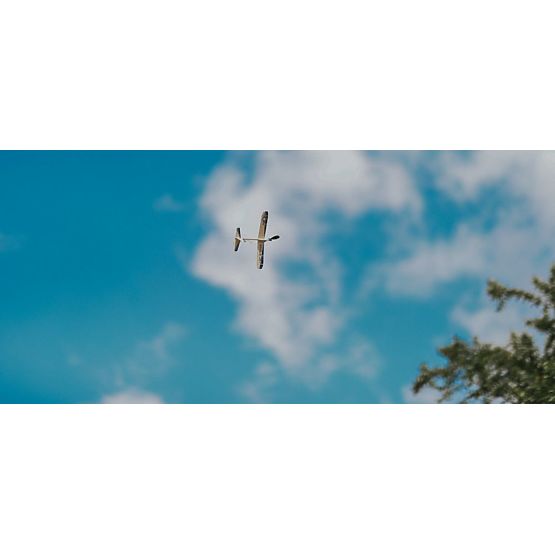 Zložljivo letalo Eagle Jet