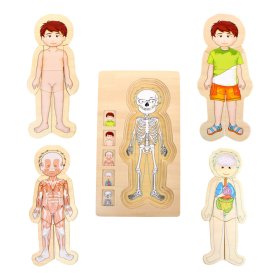 Small Foot Wooden Toys Puzzle Anatomy Tim, Small foot by Legler