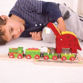 Žerjav z dinozavri Bigjigs Rail, Bigjigs Rail