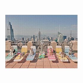 Galison Puzzle Psi v New Yorku Gray Malin 1000 kosov