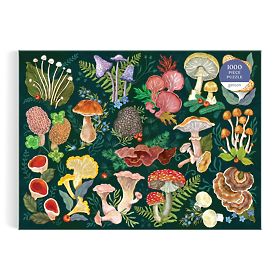 Galison Puzzle Svet gob 1000 kosov