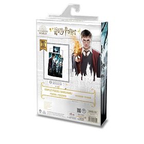 Otroška posteljnina 140x200 cm + 70x90 Harry Potter