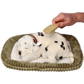 Perfect Petzzz Posvojite dihalnega dalmatinca
