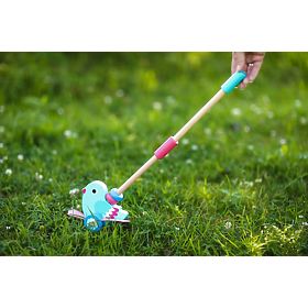Ptica na potiskanje Adam Toys