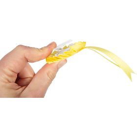 small foot Komplet za nego konja z rdečo torbo, small foot